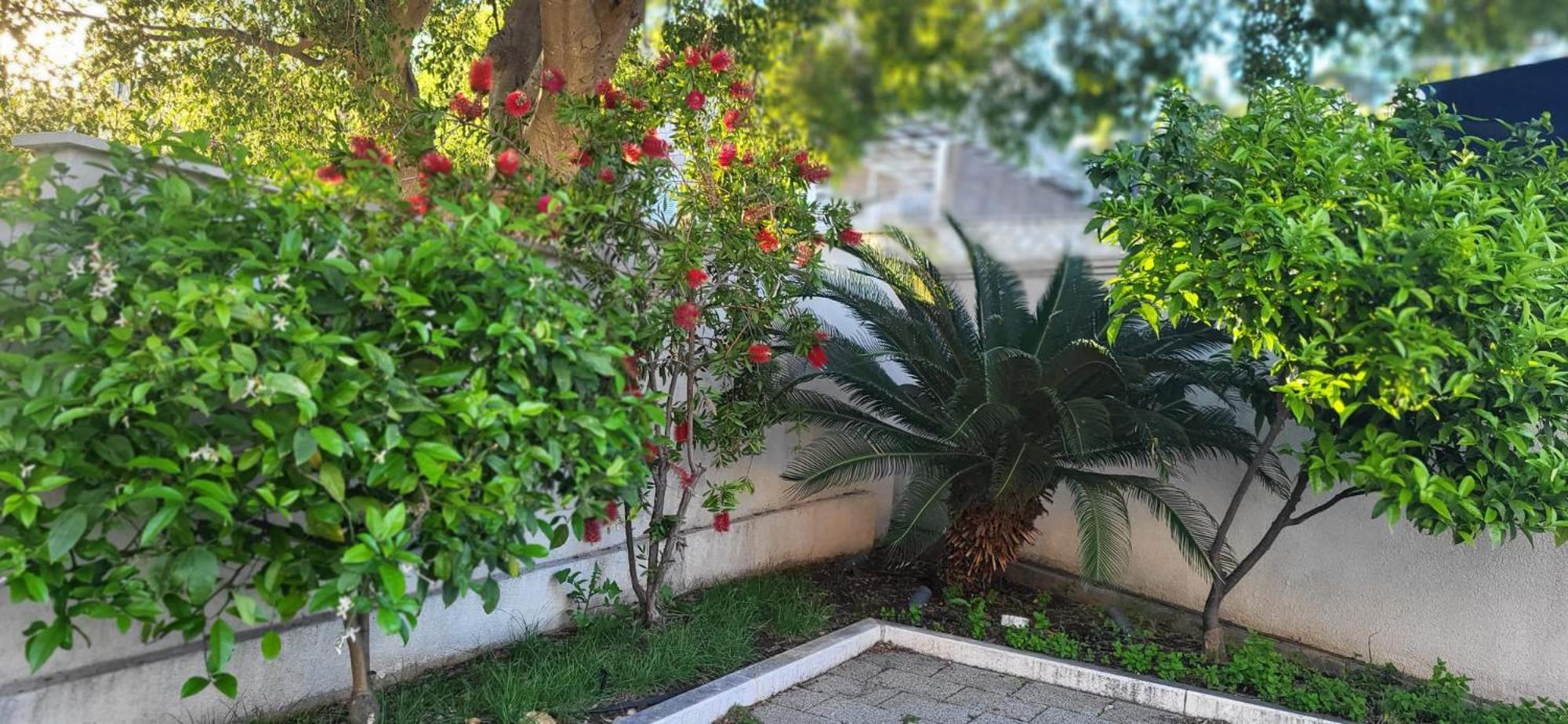 Apartments Villa Alba Дубровник Экстерьер фото