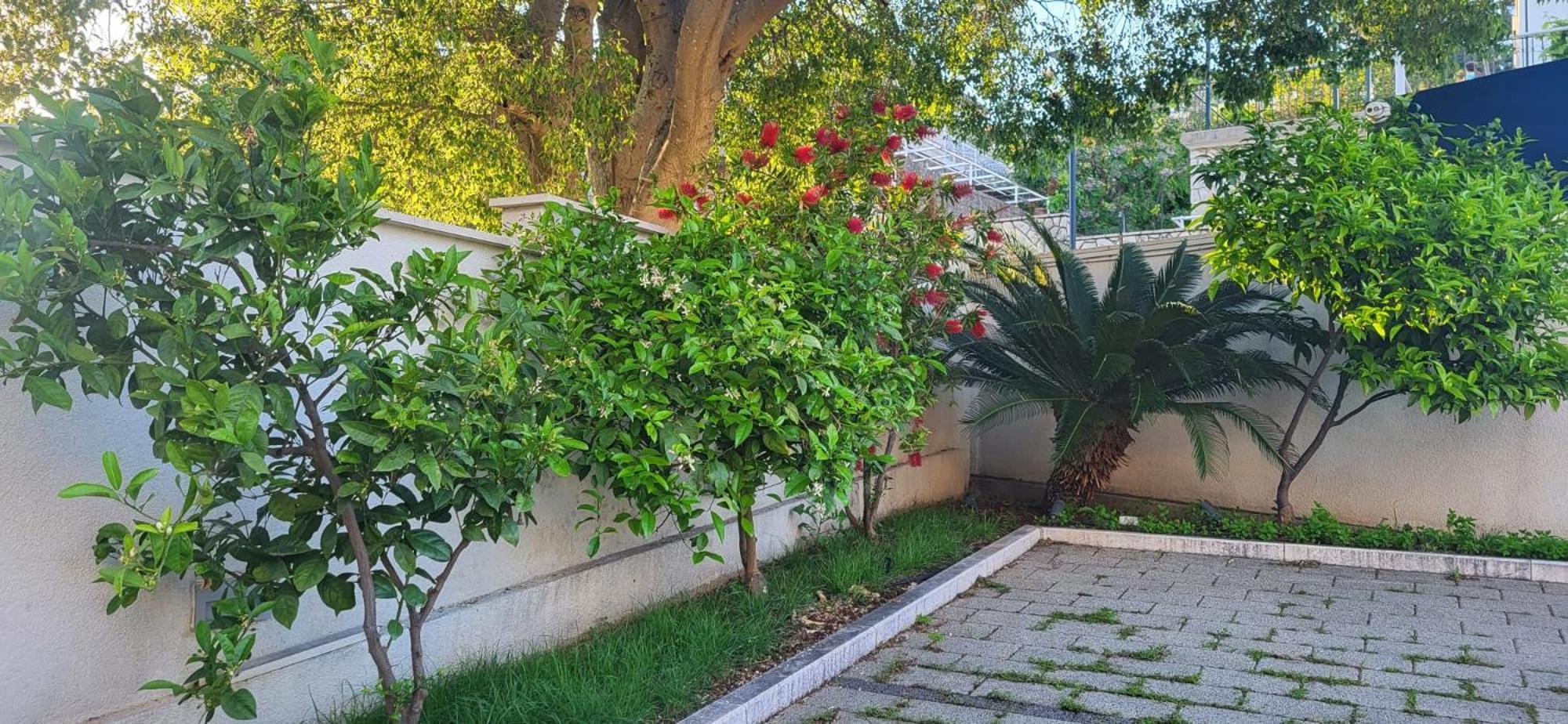 Apartments Villa Alba Дубровник Экстерьер фото